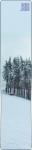 M1014-31 Winter Forest