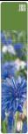 M1014-101 Cornflowers